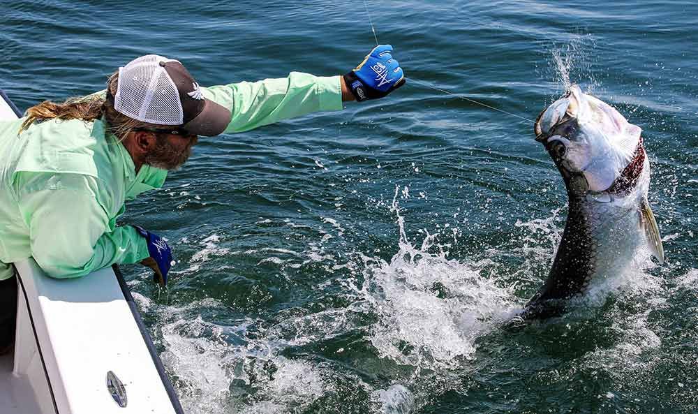mark bennett tarpon fishing guide