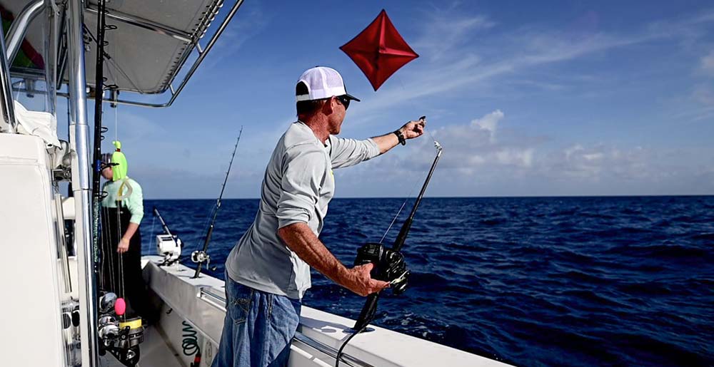 kite fishing for sailfish