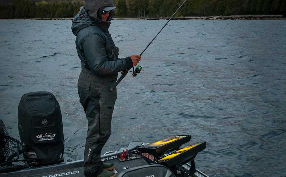 using mega 360 imaging for walleye