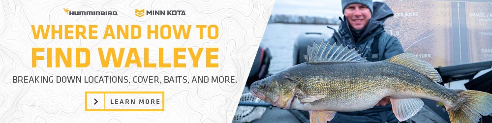 how to find walleye with sonar