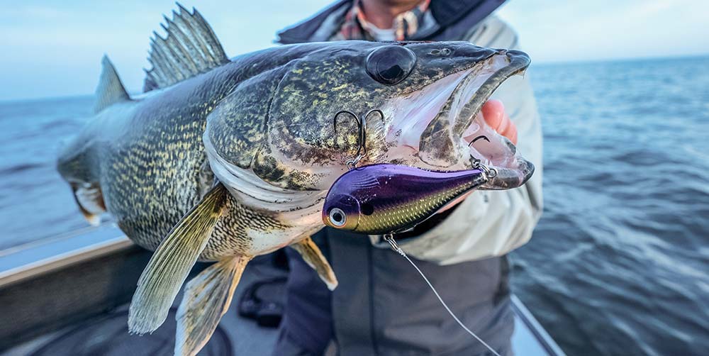 best spring walleye lures