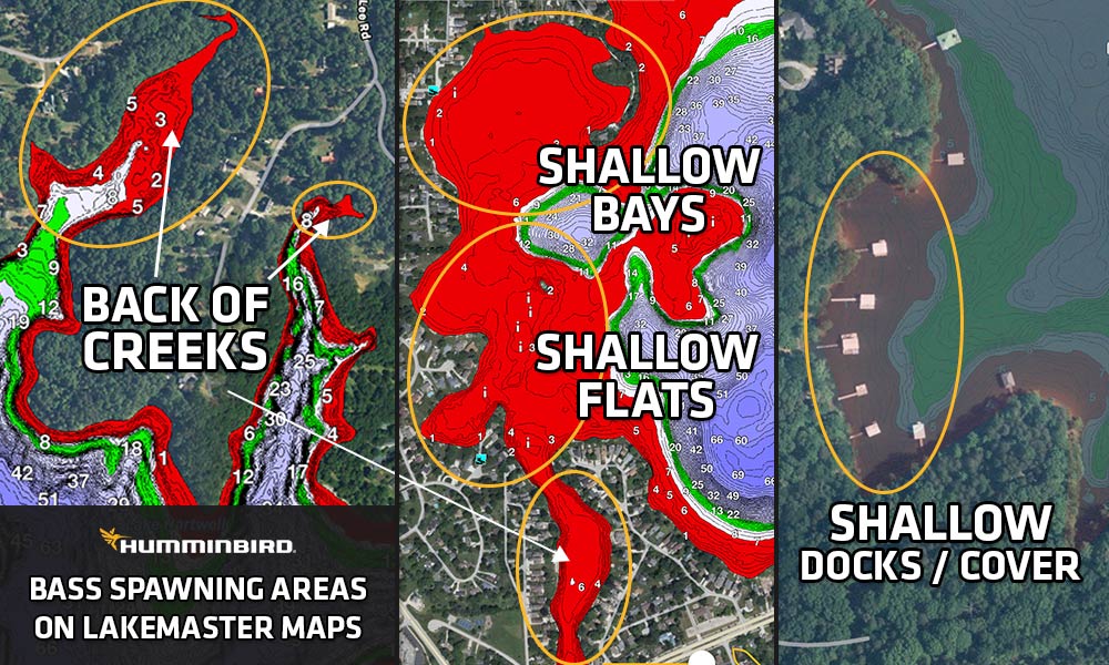where do bass spawn on lakes and rivers