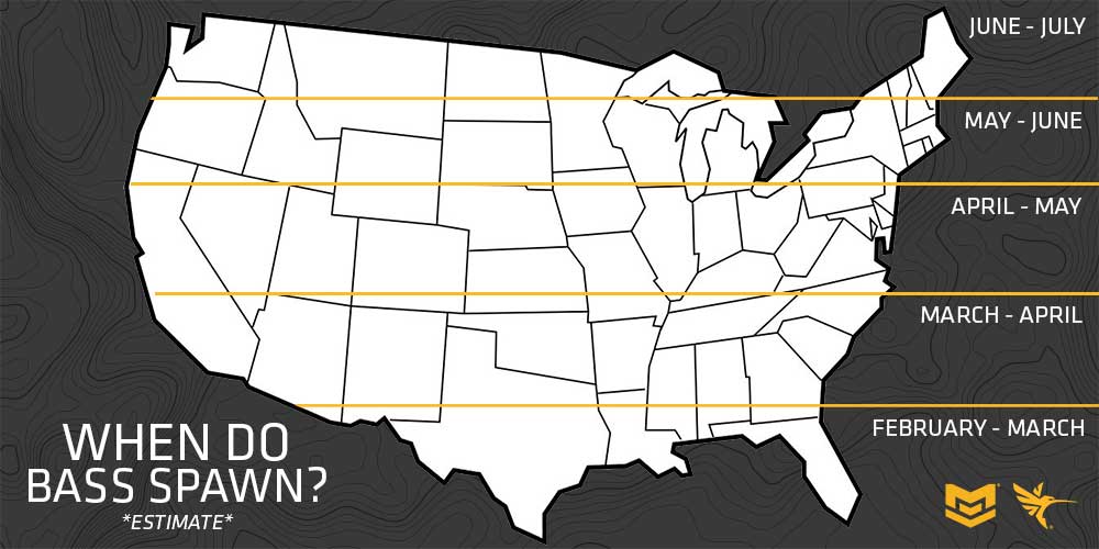 when do bass spawn in the united states