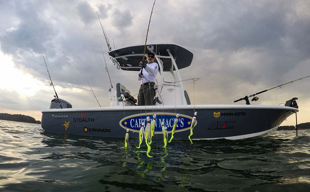 mack far pulling umbrella rig for striped bass