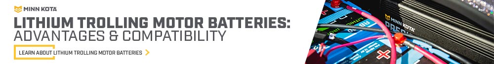 lithium trolling motor batteries