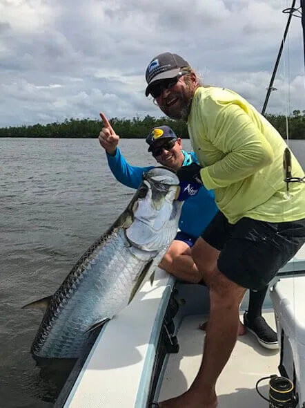 tarpon fishing in the everglades