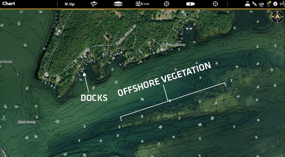 lakemaster vx aerial imagery