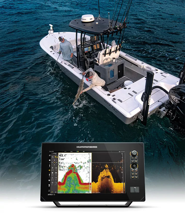 Apex