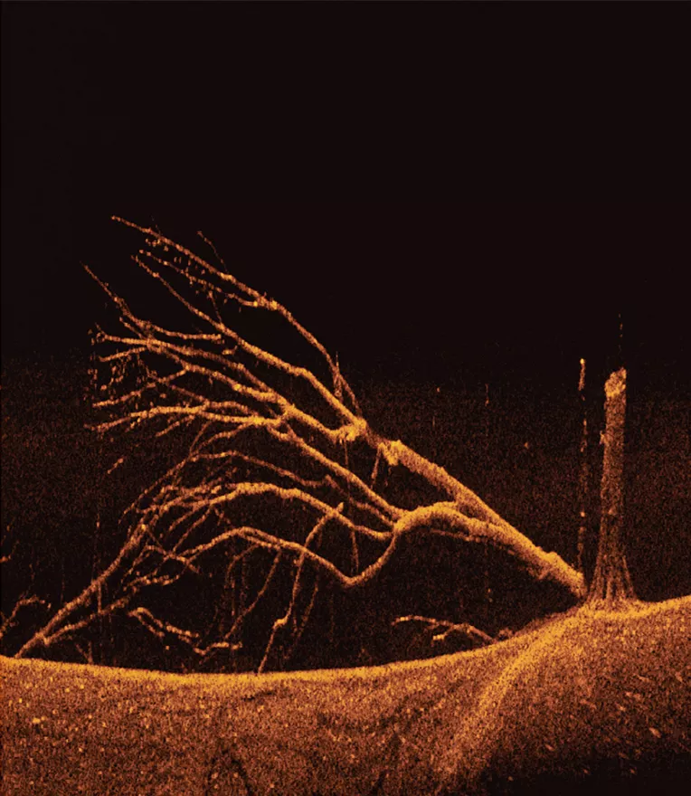 down-imaging