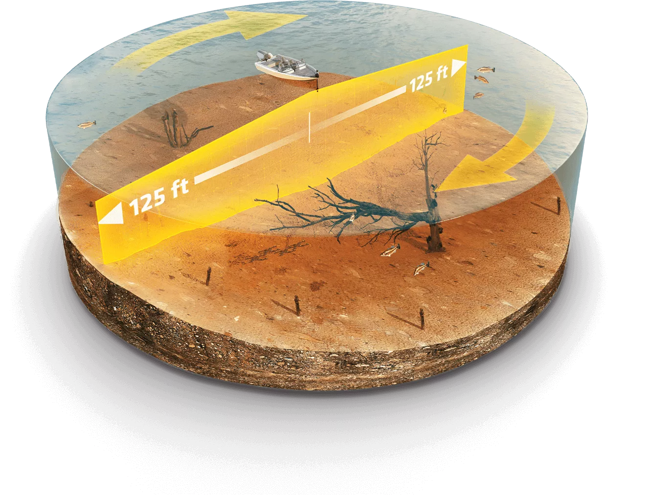 MEGA 360 Graphic