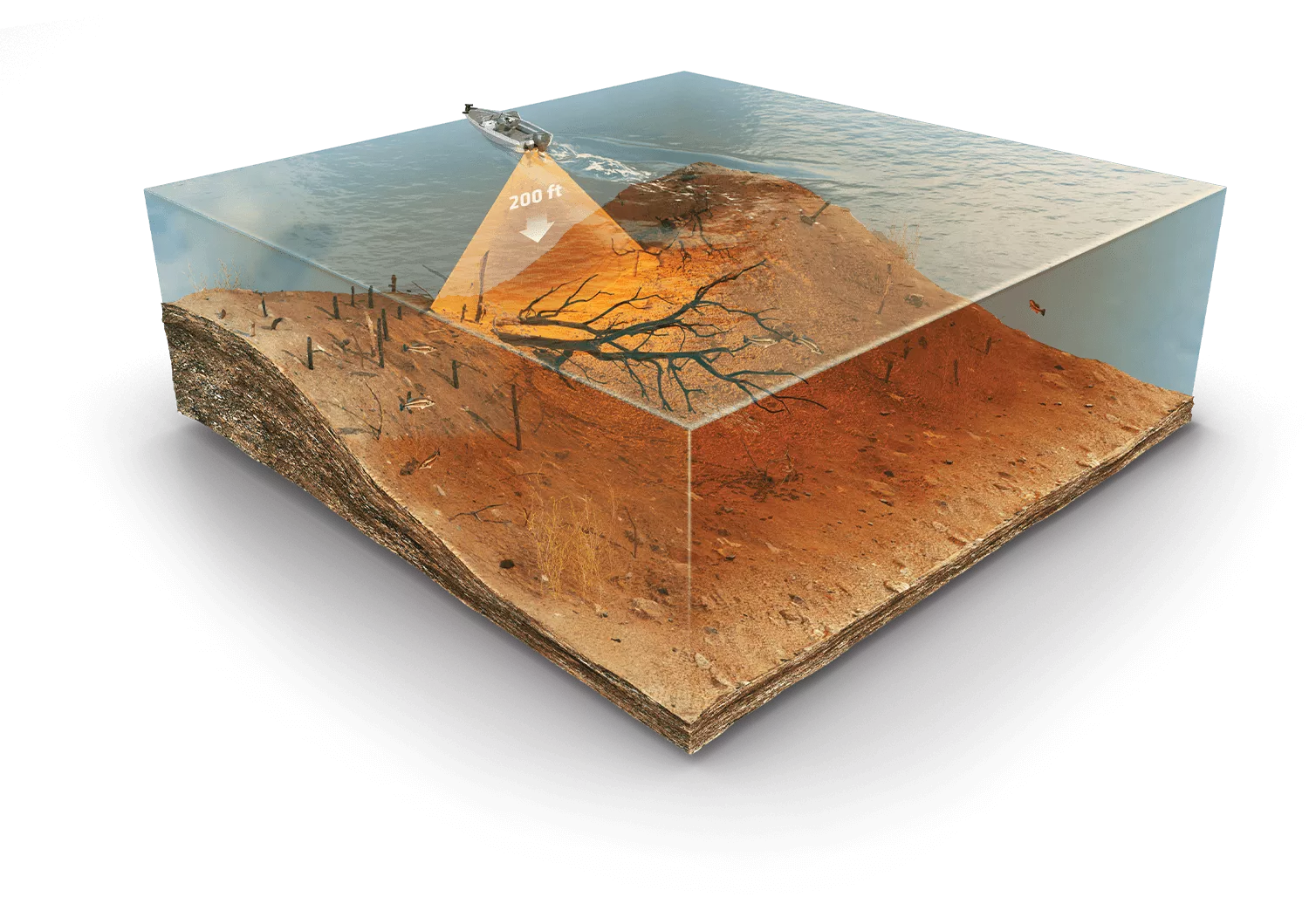 Down Imaging Graphic
