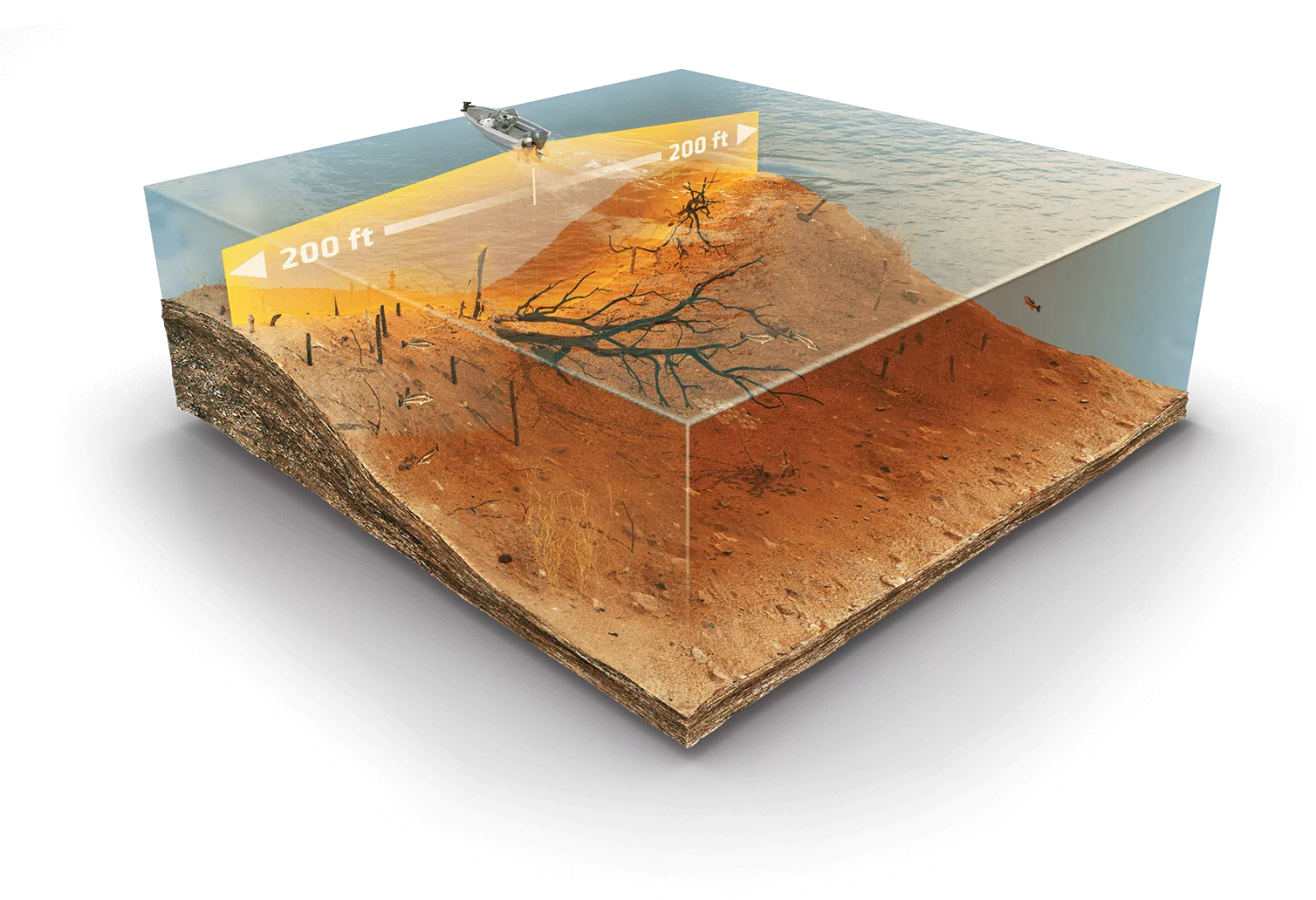 Side imaging Graphic