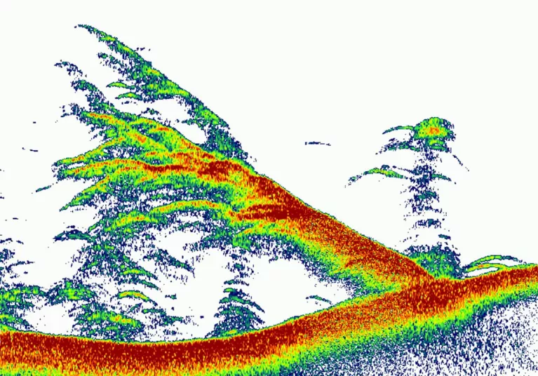 CHIRP Sonar return