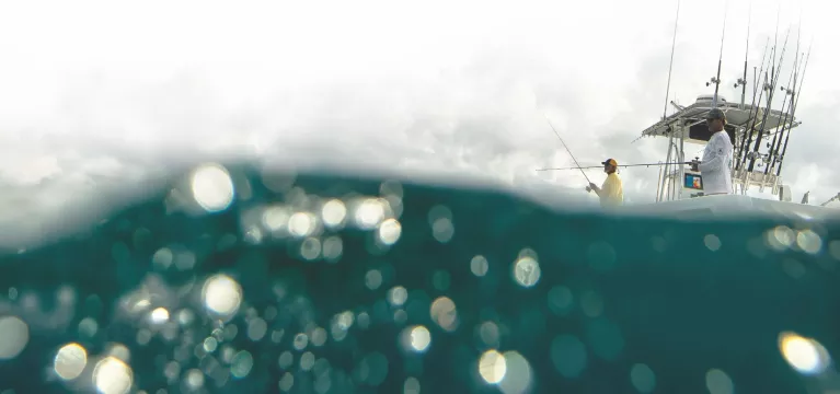 water