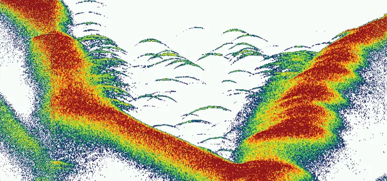 c004-built-in-dual-spectrum-sonar-d