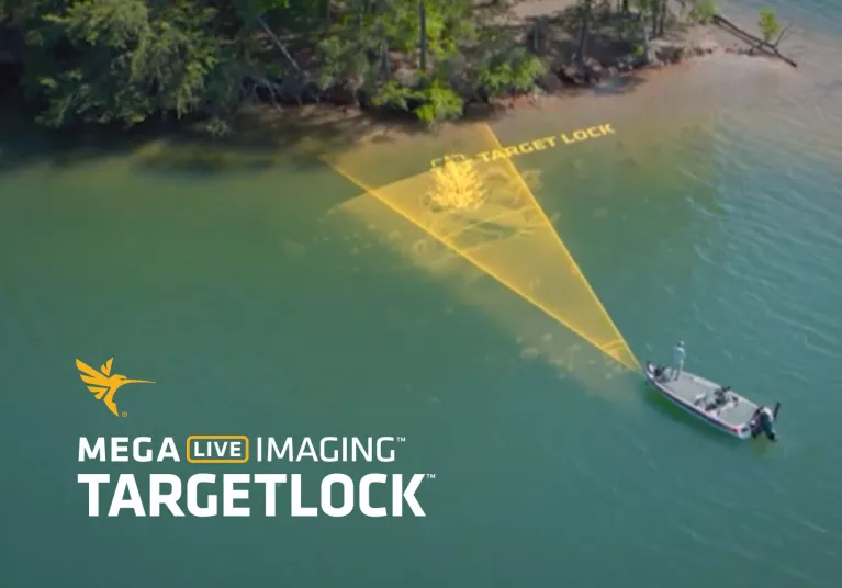 Targetlock Sweep video