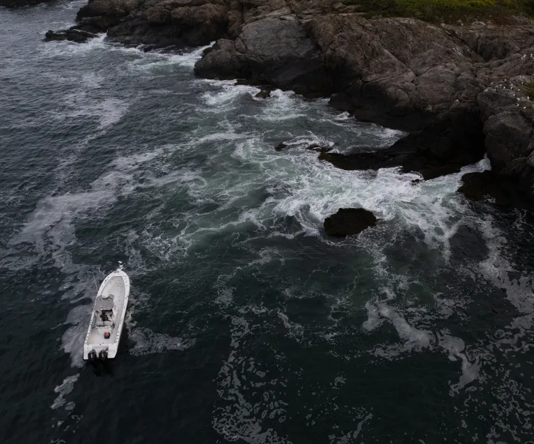 Riptide Terrova Durability